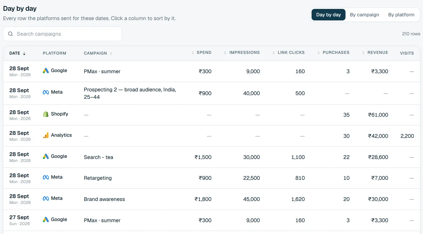 The day-by-day table for a sample store: date, platform, campaign, spend, impressions, link clicks, purchases, revenue and visits.